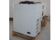 التبريد البارد 3 HP قطعة واحدة وحدة التبريد لثلاجة ديب فريزر